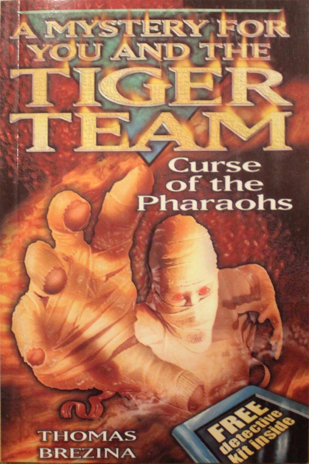 The Mystery for You and the Tiger Team | Thomas Brezina | Class 5 Reader